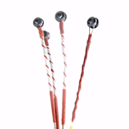 Vijoles stīgas pa vienai Attēls