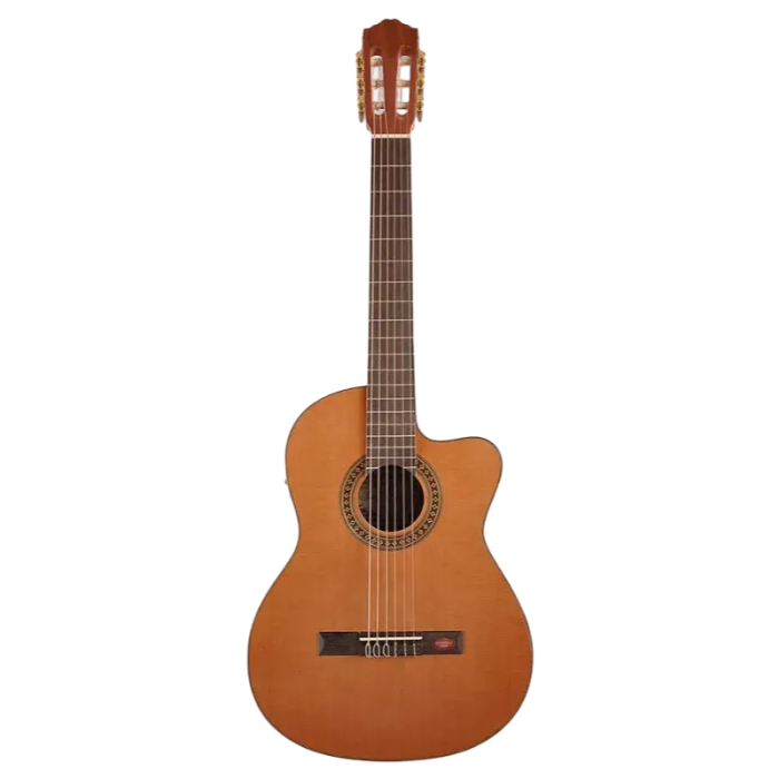 Klasiskā ģitāra Salvador Cortez CC-10CE