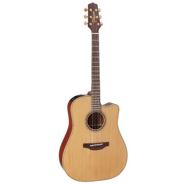 Takamine P3DC