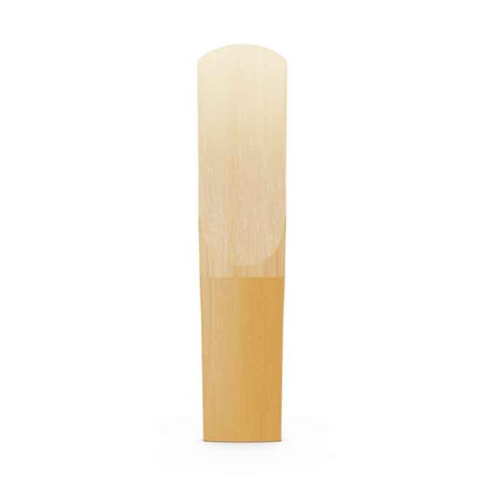 Daddario Organic Select Jazz Filed
