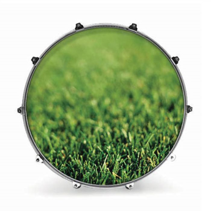 Evans INK24 Grass
