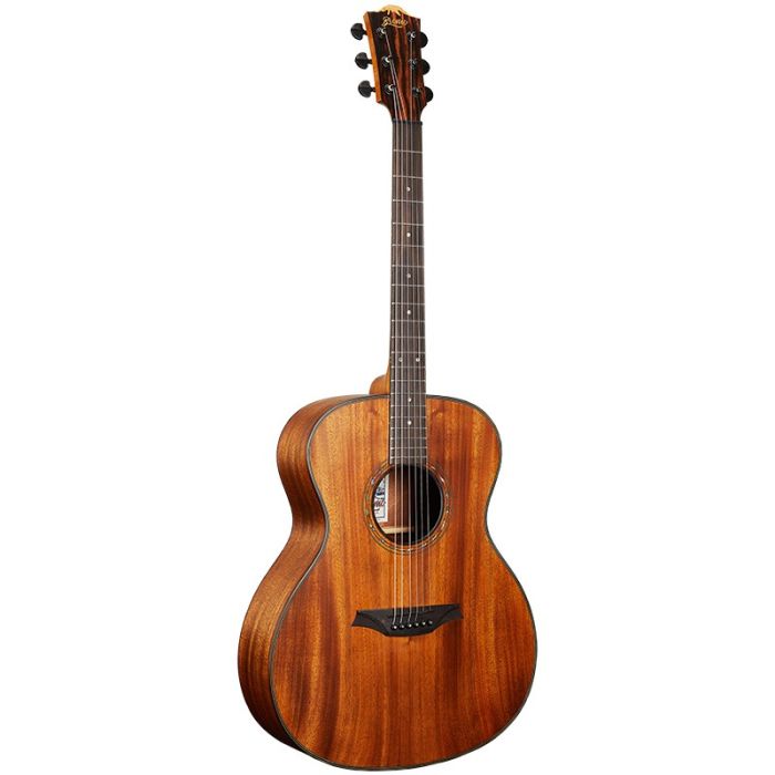 Bromo BAT2M guitar