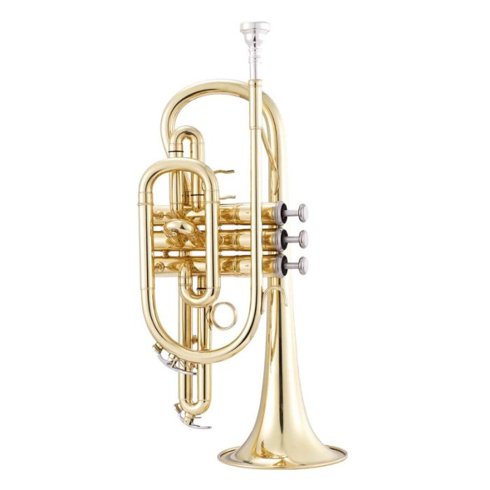 Kornete John Packer JP071