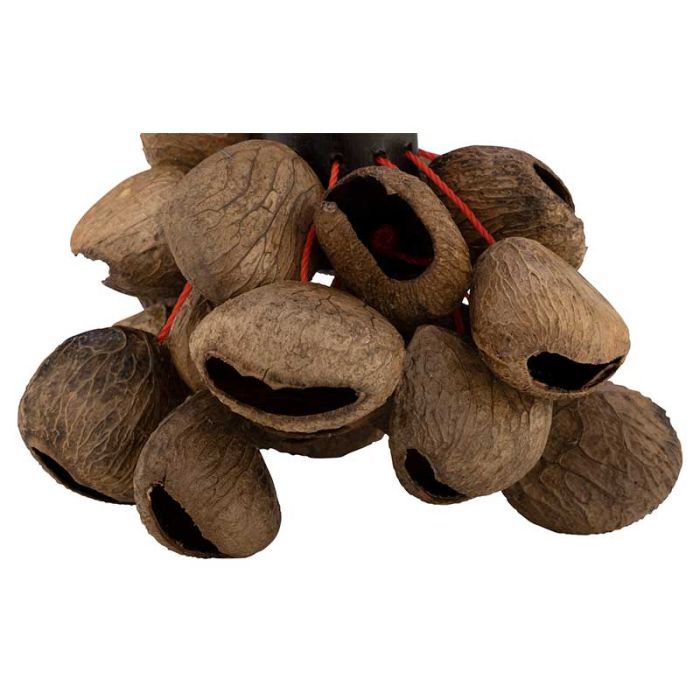 Skaņas efekts Pearl Pangi Nut Shaker PBPGBH12