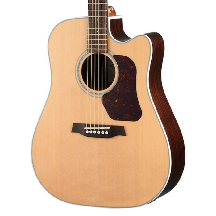 Guitar body Walden 600 Series