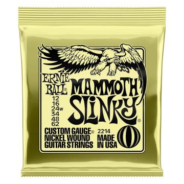Ernie Ball 2214
