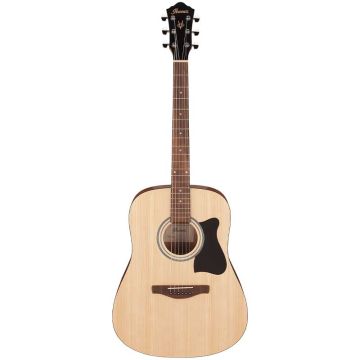 ģitāra Ibanez V40-OPN