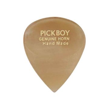 Kaula mediators Pick Boy Exotic Horn