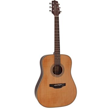 Takamine GD20-NS guitar
