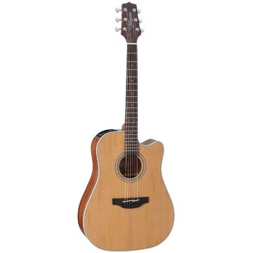 Takamine GD20CE-NS ģitāra