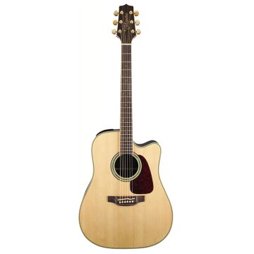 Takamine GD71CE-NAT